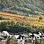 Gästezimmer im Weingut Amlinger&Sohn