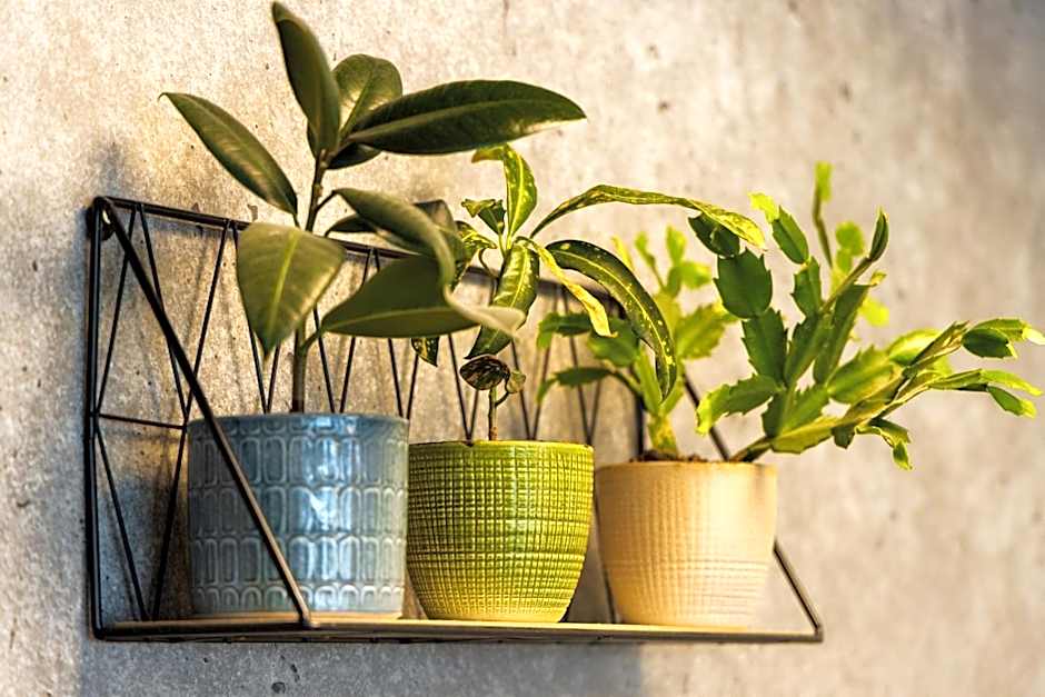 ibis budget Paris Porte de Vanves