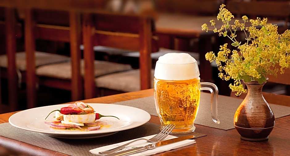 Hotel Concertino Zlatá Husa