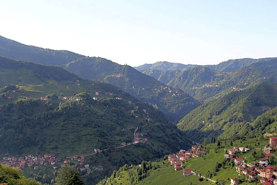 Bogina Dome & Suite - Çamlıhemşin
