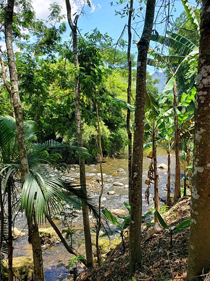 Nina-Flor Pousada Lumiar