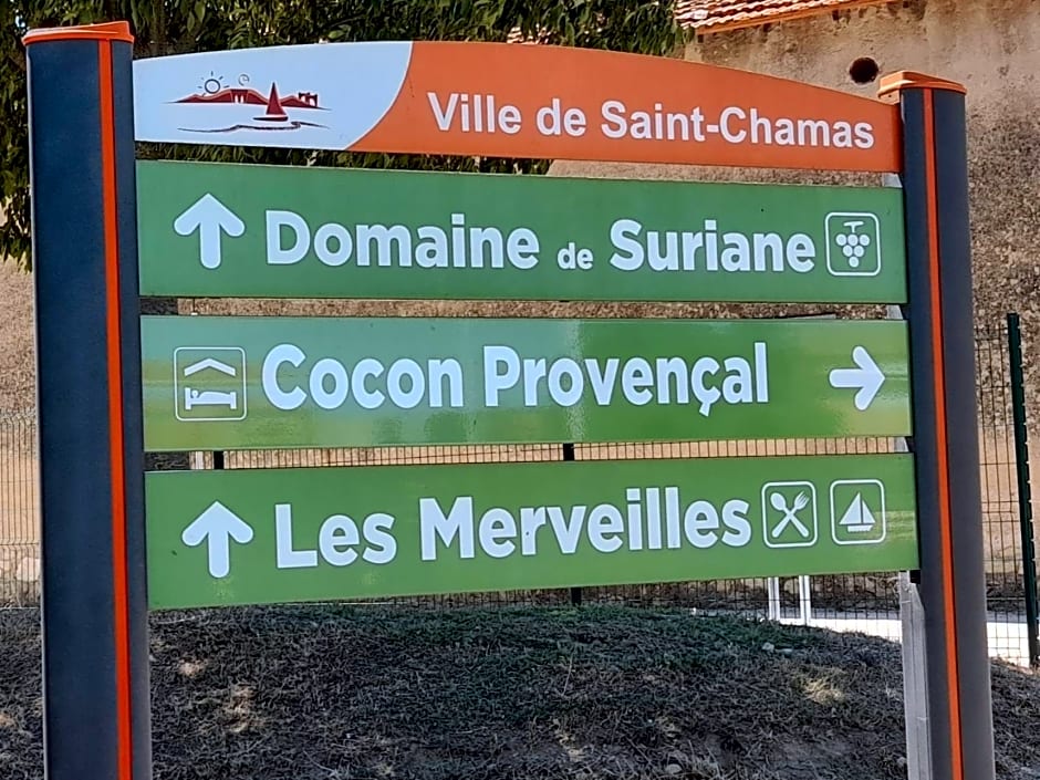 Cocon Provençal - T1 25m2 - SdB - Terrasse privée & Accès Piscine à Saint Chamas