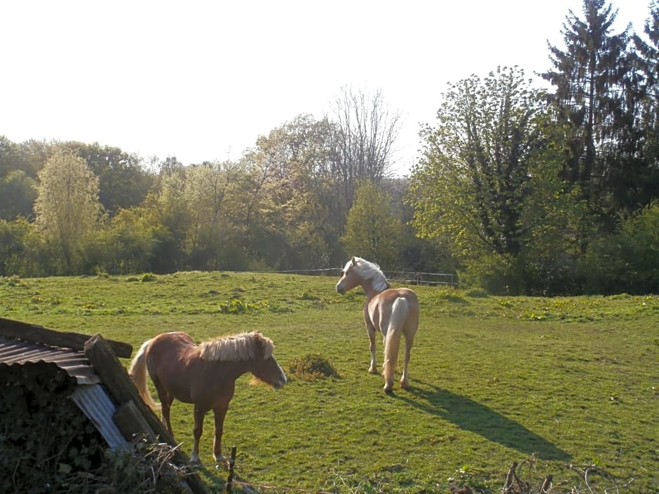 Chambre d'hôtes L'Ermite