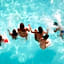 Hotel Acquario