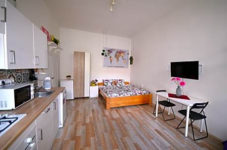 Studio Apartment with Private Bathroom