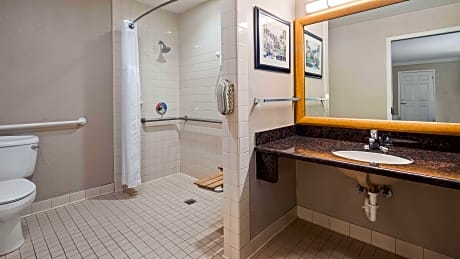 Accessible - 1 King, Mobility Accessible, Roll In Shower, Non-Smoking, Full Breakfast