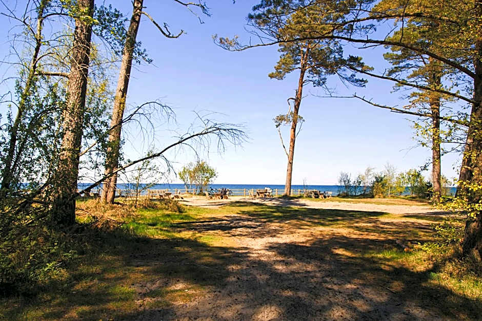 Domki Letniskowe Zygmunt