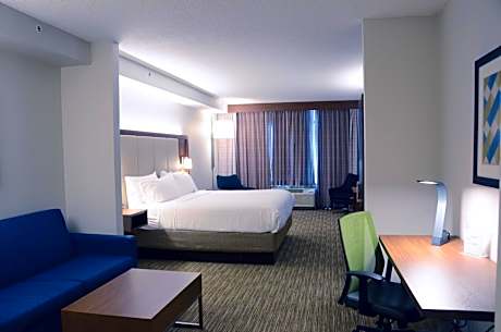 Suite King Bed Non Smoking