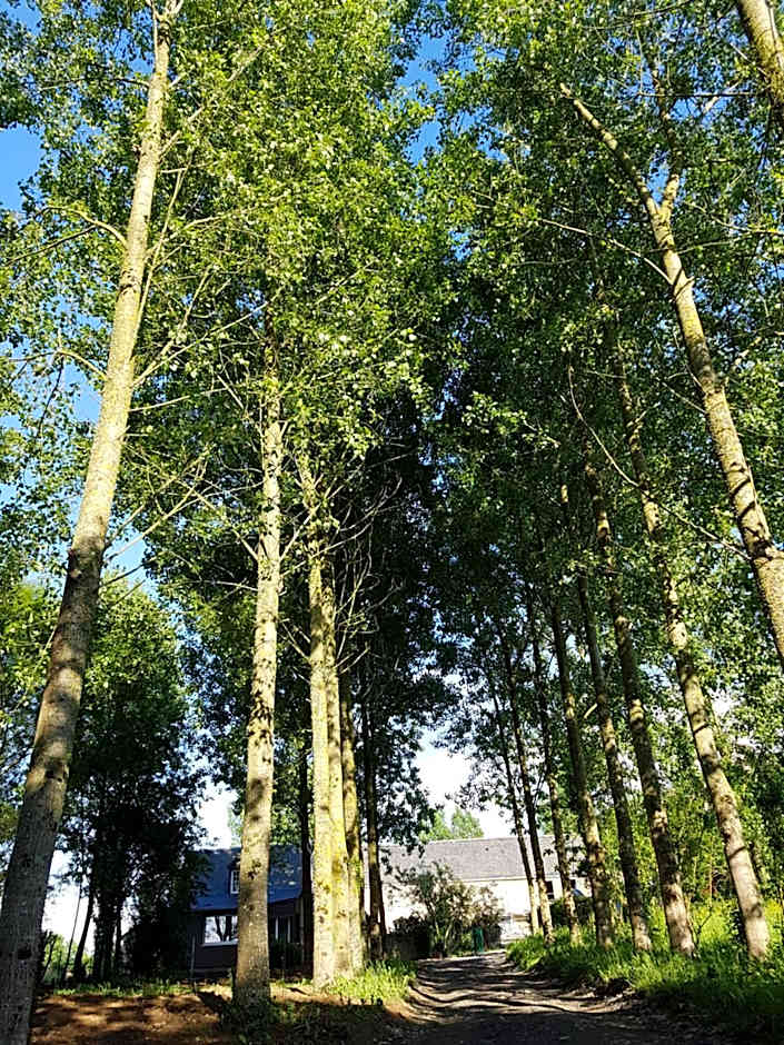 Domaine de la Fauvriere