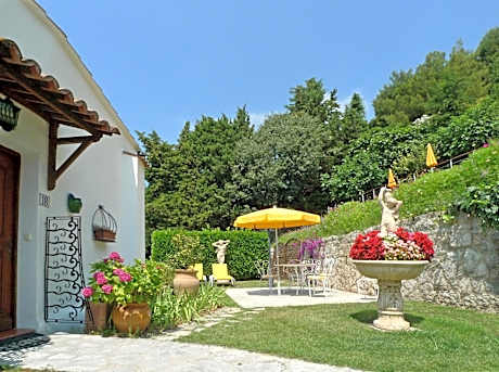 Junior Suite with Terrace