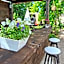 House Albena
