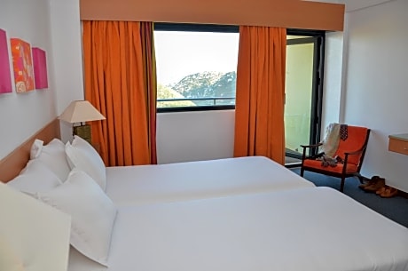 Standard Twin Room Mountain View and Balcony