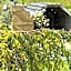 Athol Country Bed & Breakfast