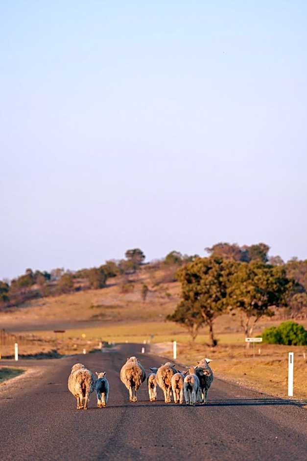Tenterfield Lodge Caravan Park