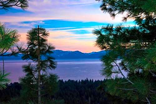 Tahoe Chaparral