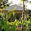 Cocco House