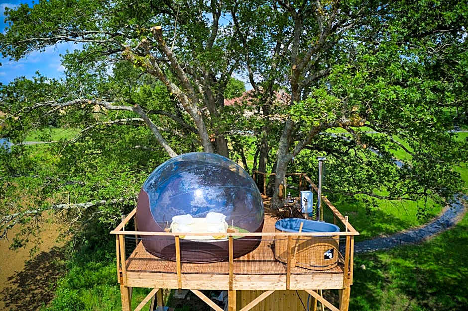 les bulles perchées de lartigue