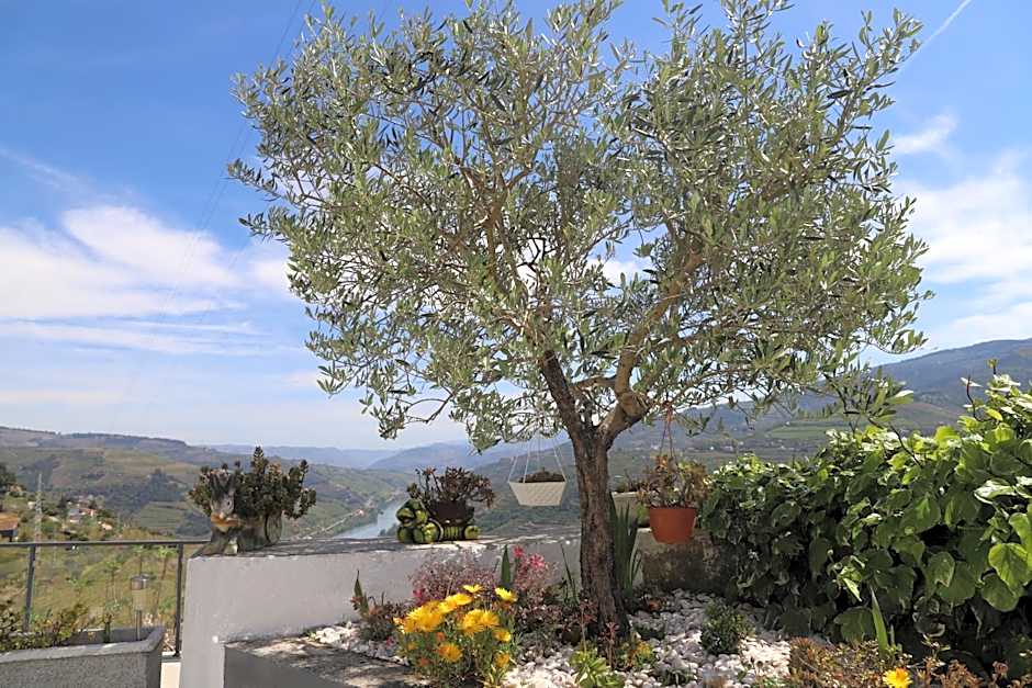 Casa Vale do Douro