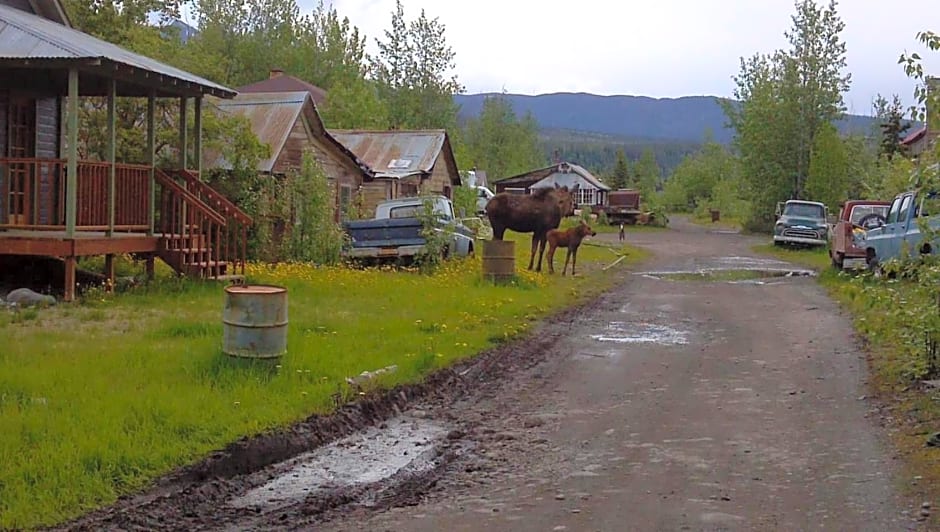 Blackburn Cabins - McCarthy, Alaska