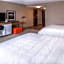 Hampton Inn By Hilton & Suites Wixom-Novi-Detroit MI