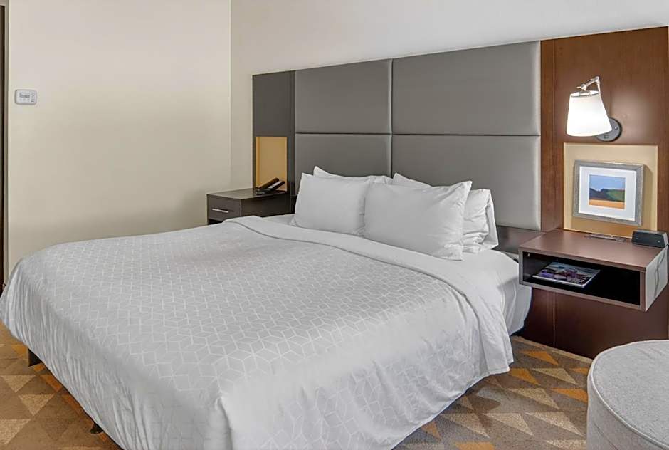 Holiday Inn and Suites Dallas-Addison By IHG