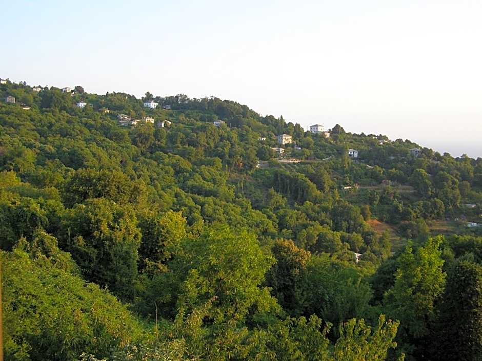Hotel Tsagarada