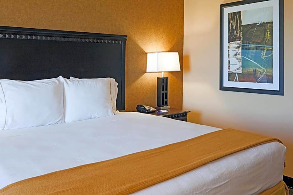 Holiday Inn Express Hotel & Suites Ennis By IHG