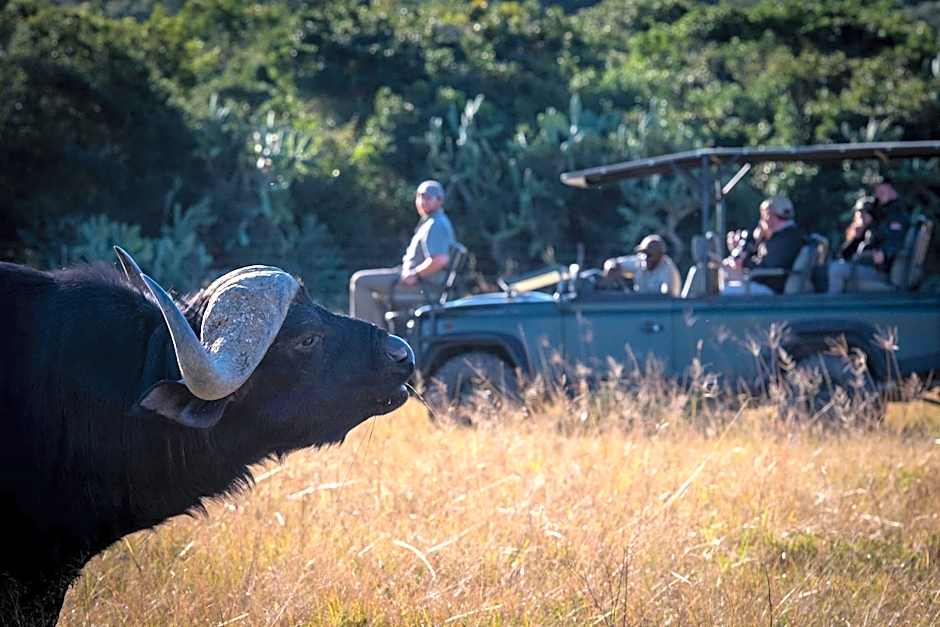 Addo Elephant Safari Lodge - Bellevue Forest Reserve