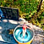 Maruia River Retreat