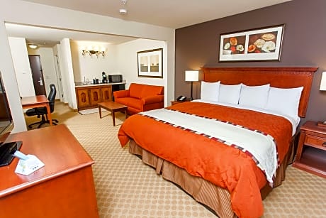 Suite-1 King Bed Non-Smoking Whirlpool Microwave And Refrigerator Flat Panel Television Sofabed Full Breakfast
