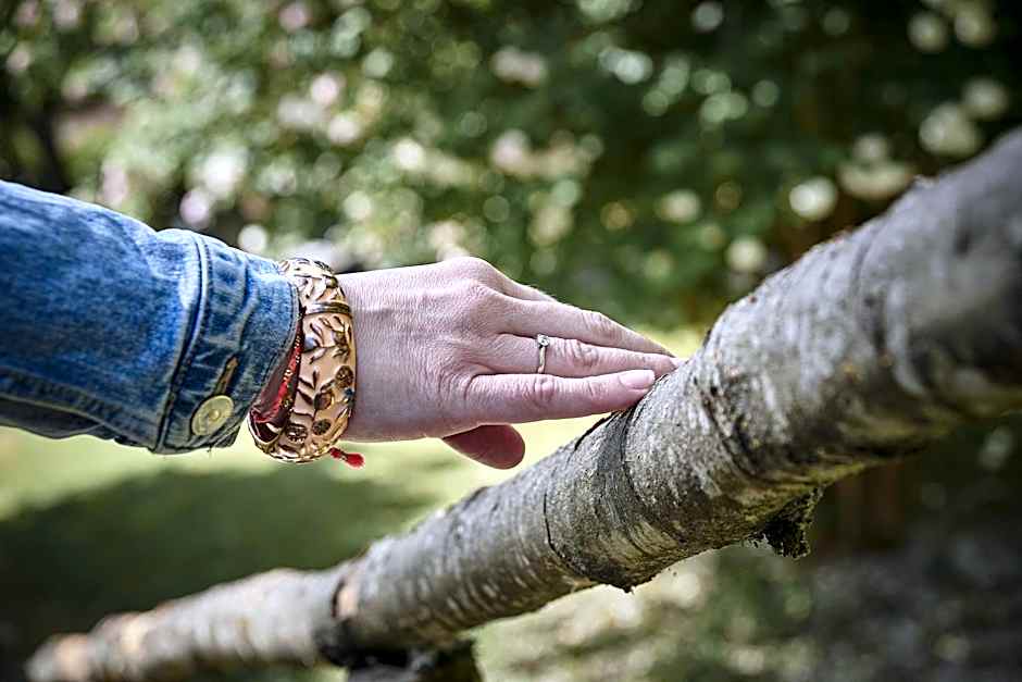 Logis Bagatelle - 51530 Dizy