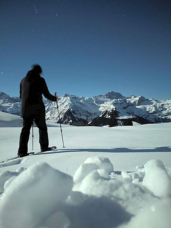 Alphotel Biel-Kinzig - Access by Cable Car only!