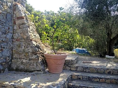 B&B Oca Nera Lerici