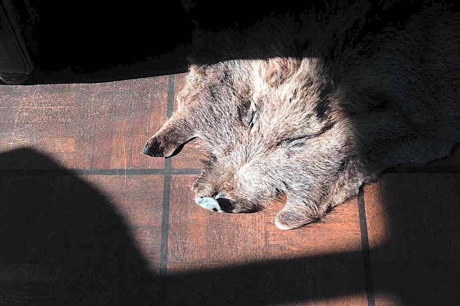 Hotel Schloss Neetzow