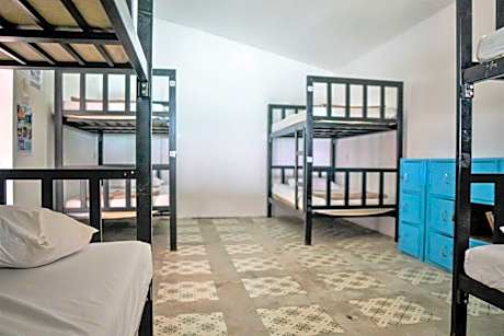 Bed in 8-Bed Mixed Dormitory Room