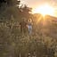 Gondwana Game Reserve