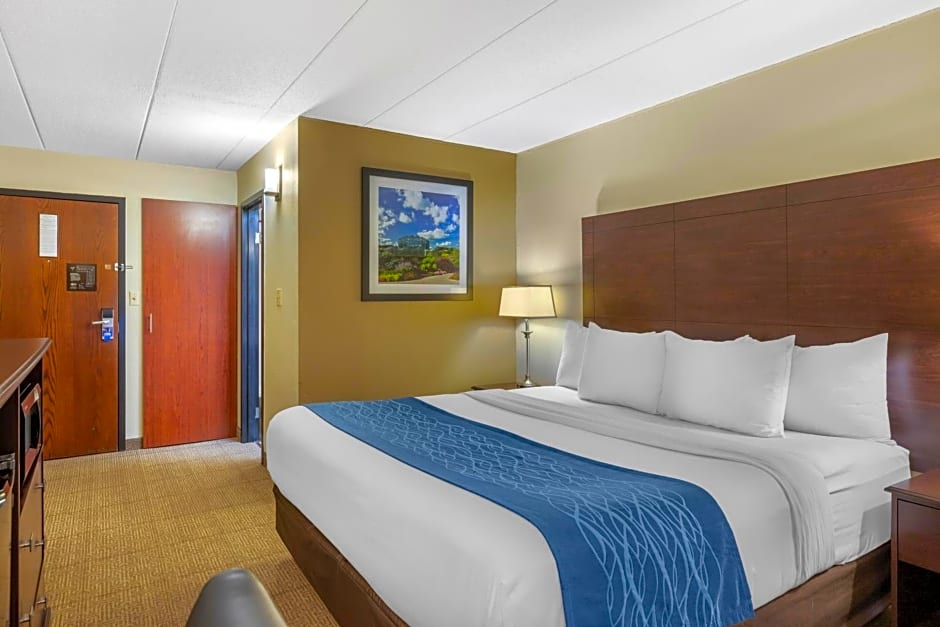 Comfort Inn Grand Rapids Airport