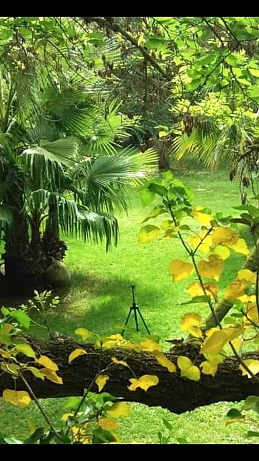 Les jardins du Patriarche Hôtel