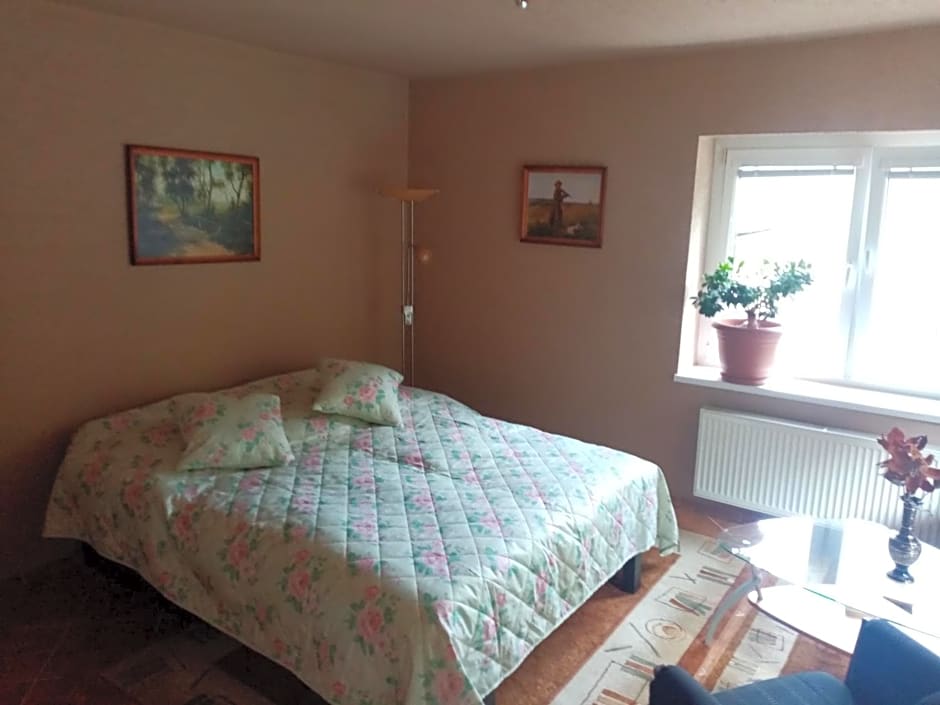 Apartmán Starý Mlyn