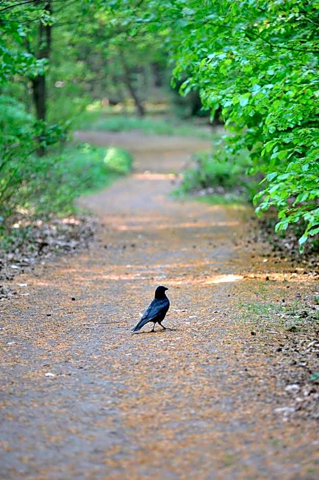 Parkhotel Mastbosch Breda