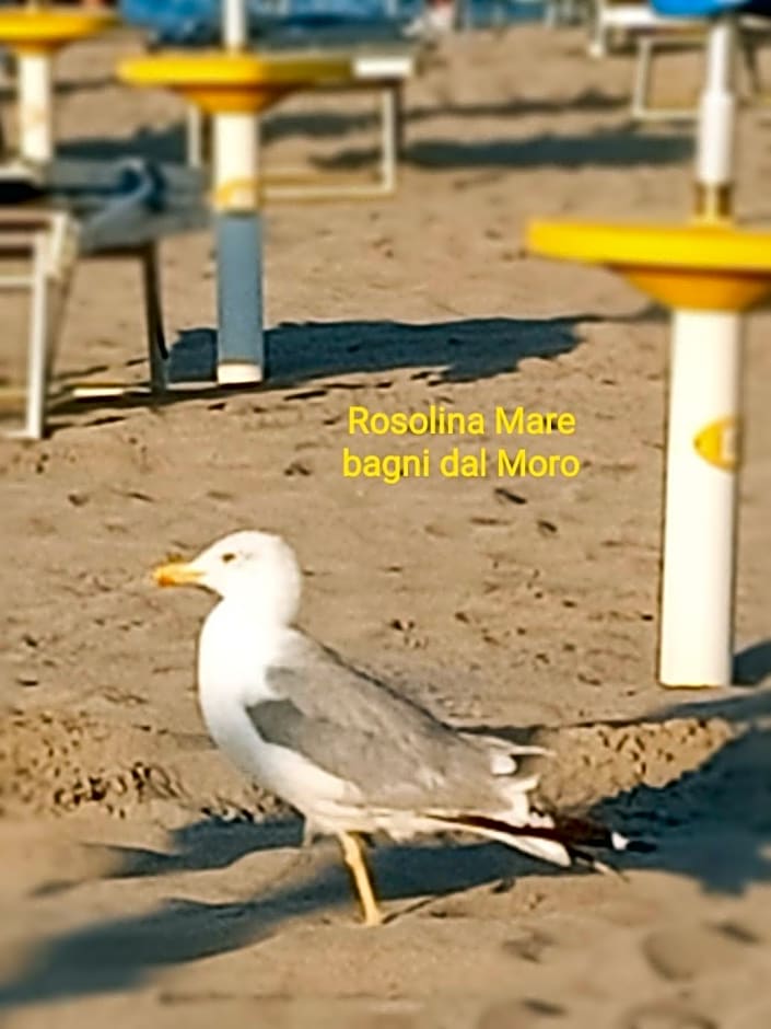 Adria Bella Locazione Turistica