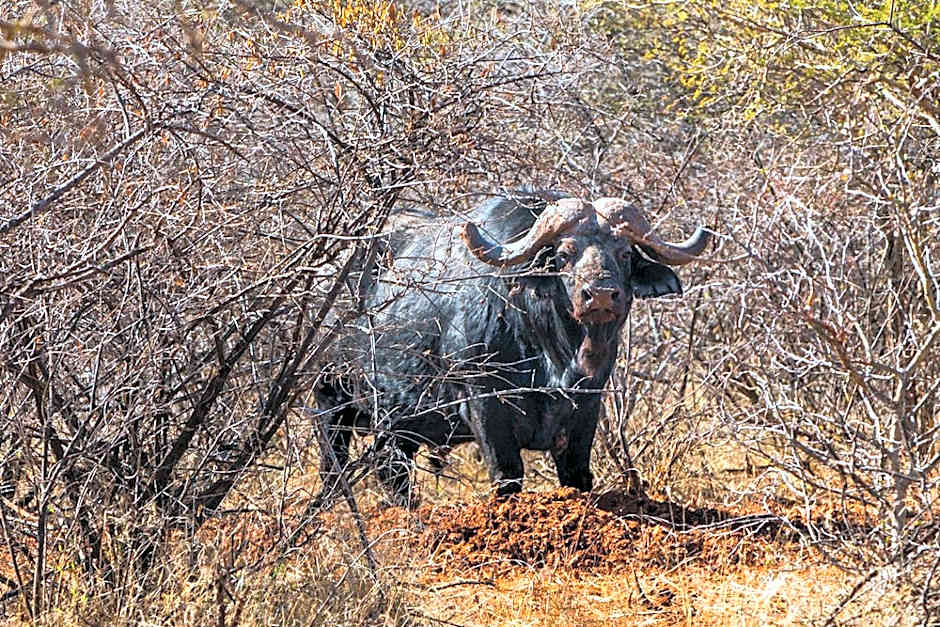 Palala Boutique Game Lodge and Spa