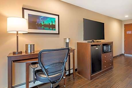 1 King Bed Non-Smoking Lake Front Balcony Shower In Room Microwave And Refrigerator Pet Friendly Ro