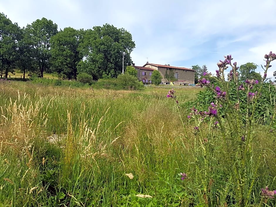 Domaine Des Pierres Davélie – Saint-Éloy-la-Glacière, MO