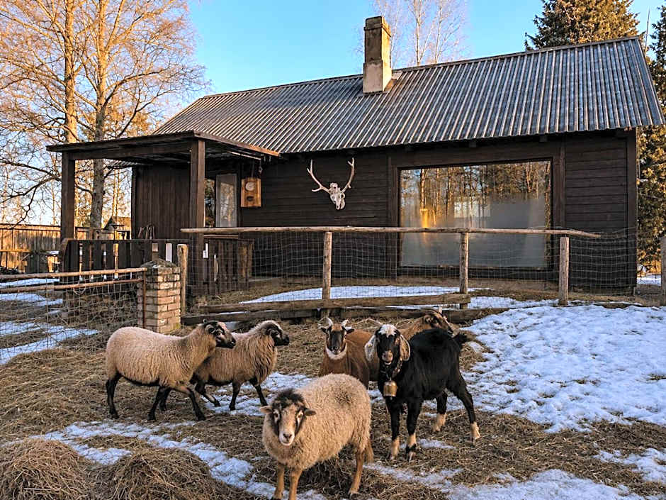 Lake Deer Park Retreat with Hot Tub & Sauna