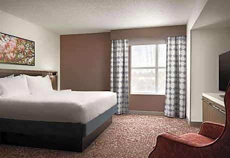 1 King Bedroom Suite With Living Area/sofabed