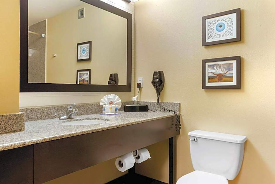 Comfort Inn & Suites Amarillo East