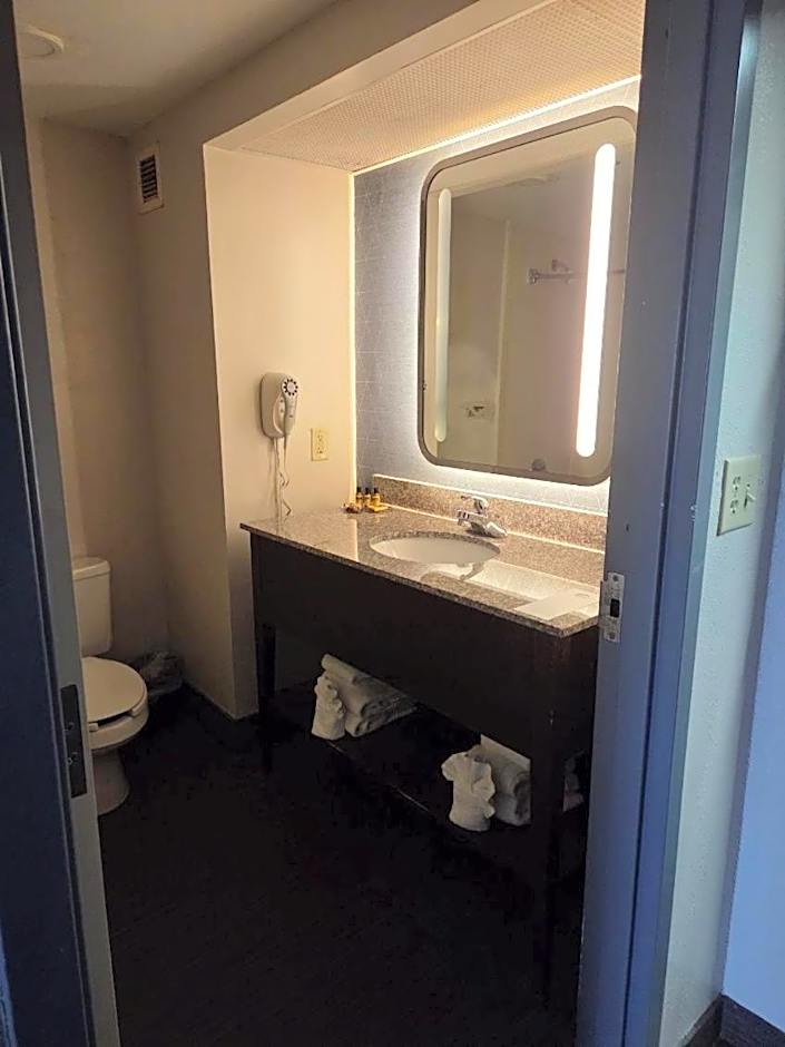 Hamilton Inn Birmingham-Bessemer