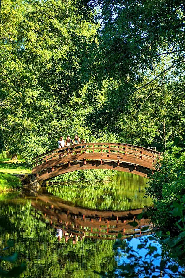 VTF Le Domaine des Puys