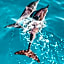 MEHEL - Holiday Home - Mahibadhoo